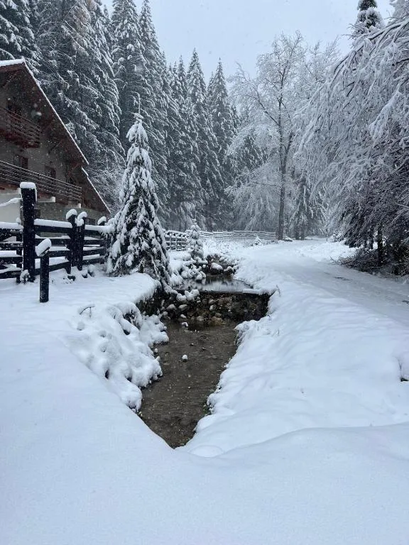 Chalet Chiba - Galerie foto cazare munte Brașov #14